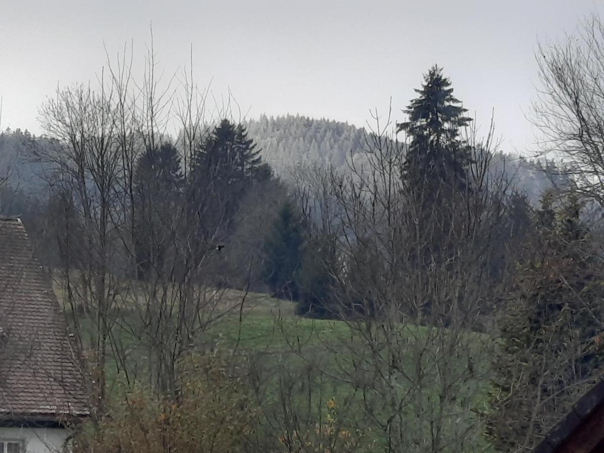 Ferienhaus Ketterer Hinterzarten Exterior foto